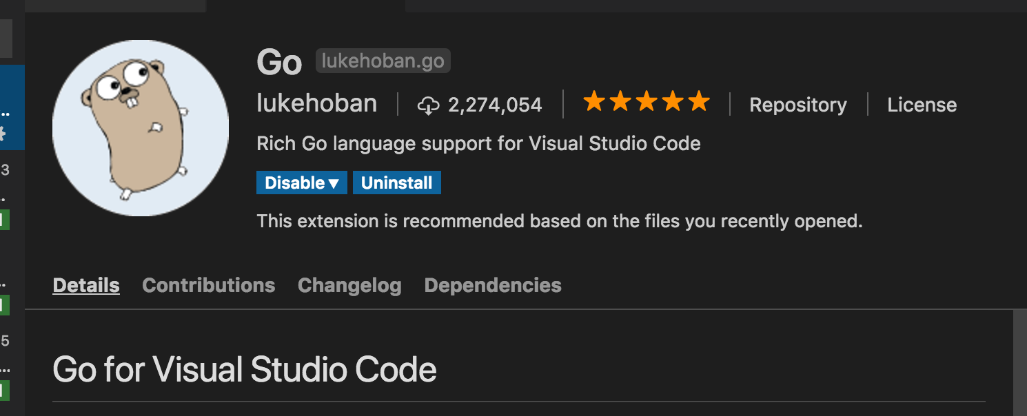 go for vscode